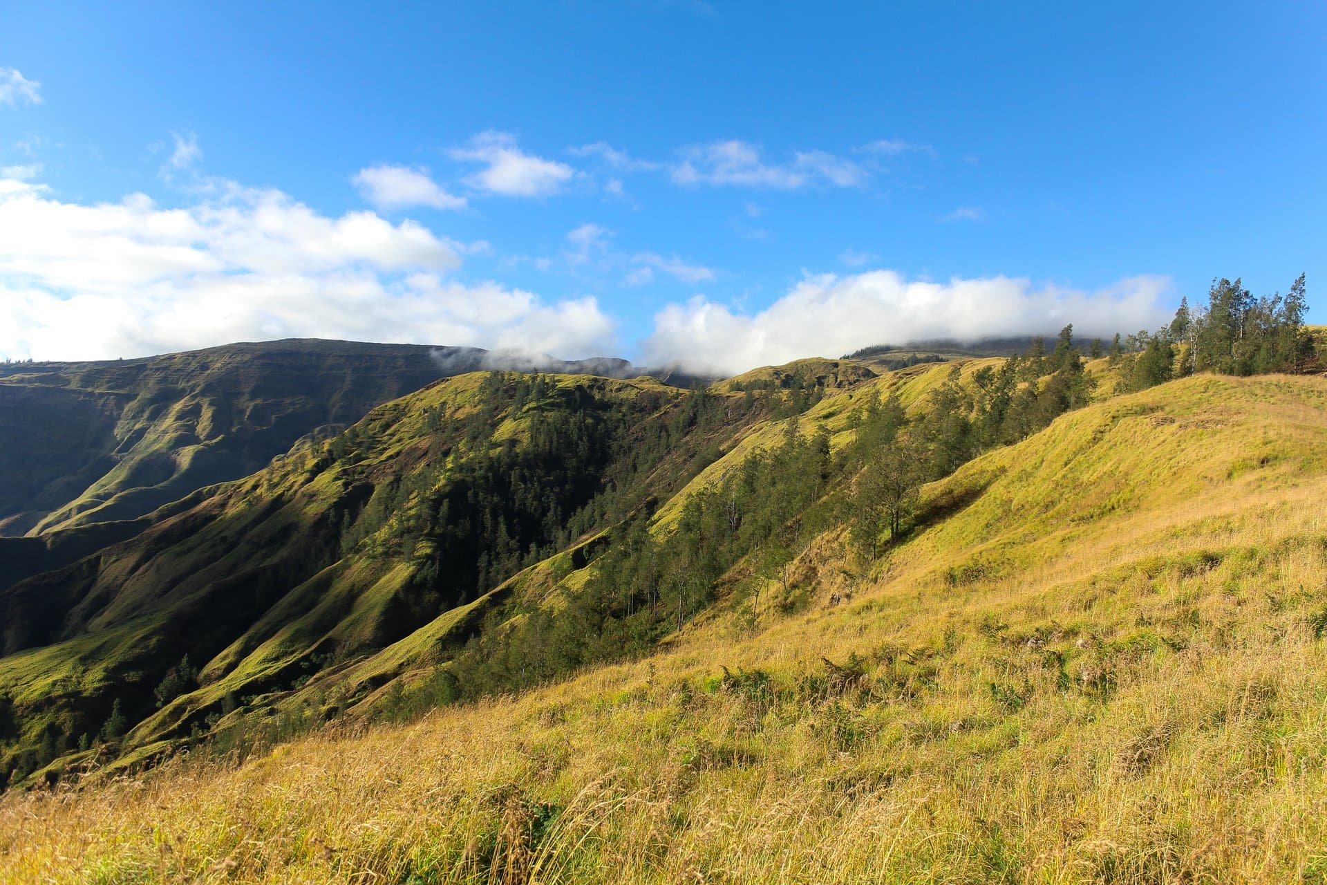 Lanskap hijau jalur Gunung Tambora